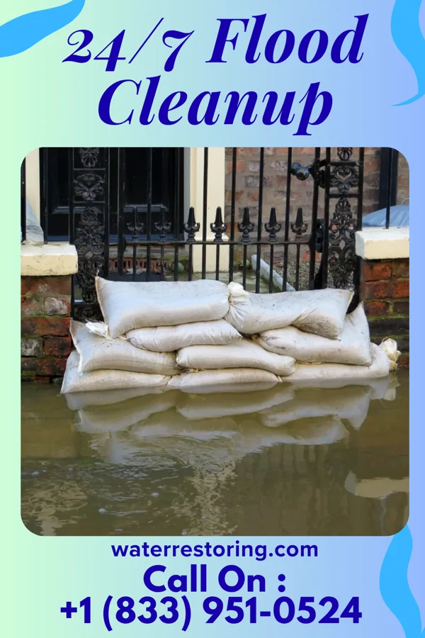 24/7 Flood Cleanup in Santa Clara, TX